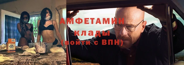 прущие грибы Саяногорск
