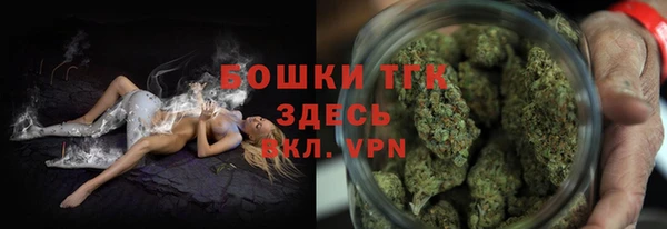 амф Россошь
