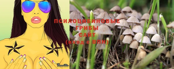 мяу мяу кристалл Заводоуковск